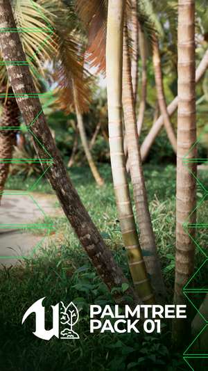 Pack Palmtree